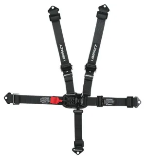 Dirt Track 16.1 Latch & Link Harness