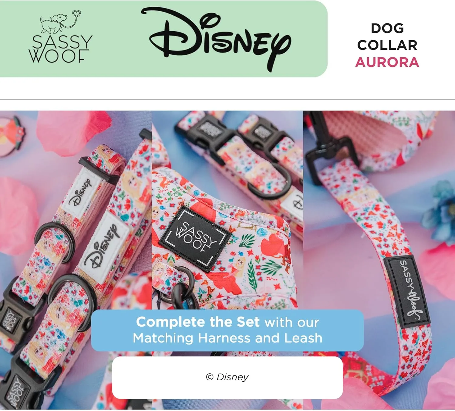 Dog Collar Disney Princess Sleeping Beauty Aurora - L, Adjustable, Durable, Comfortable and Stylish Pet Accessories for Large Dogs - Officially Licensed