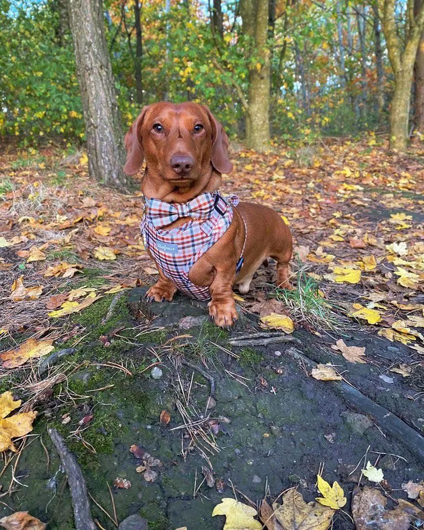Dog harness , Dog collar and lead set | BUNDLE OF YOUR CHOICE |  Best i ever plaid