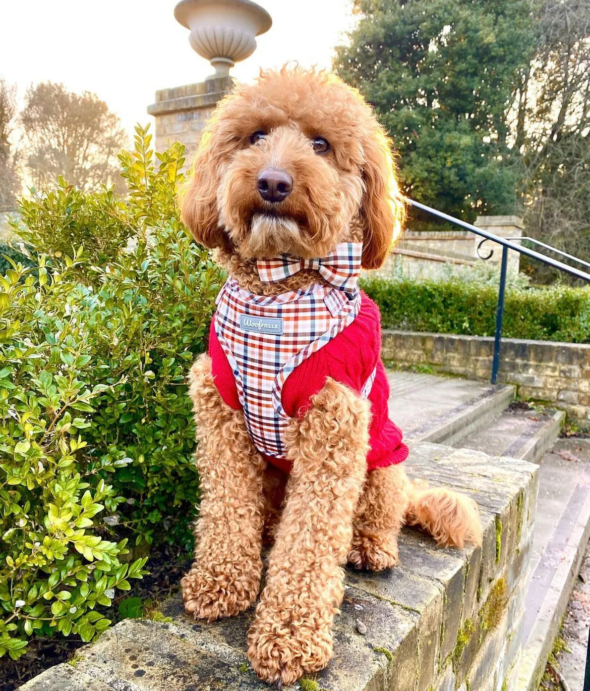 Dog harness , Dog collar and lead set | BUNDLE OF YOUR CHOICE |  Best i ever plaid