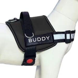 Dog Harness, No-Pull, 3 Leash Clips, No Choke, Reflective, Adjustable and Padded, for Easy Walking and Training for Small, Medium and Large Dogs (Black, XL)