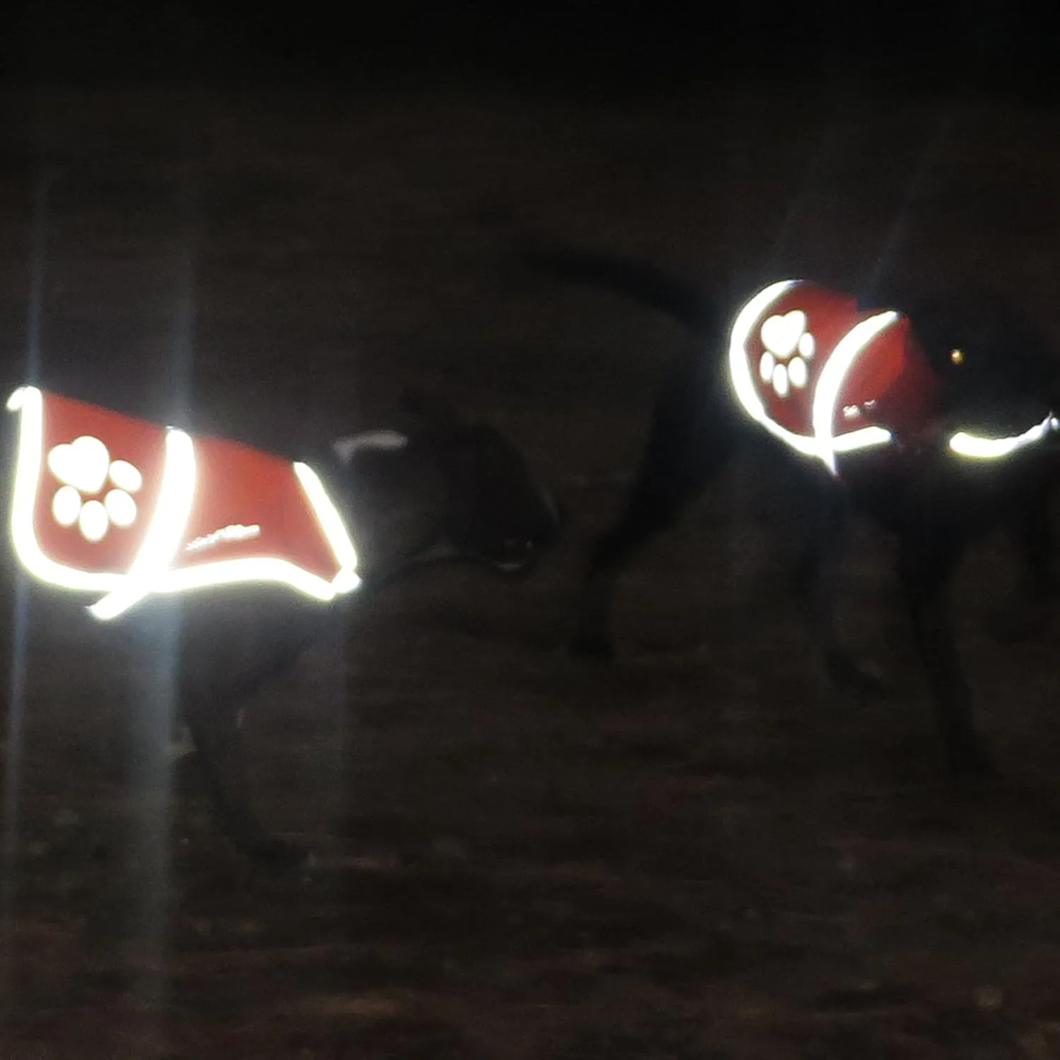 Dog Reflective Vest – Multiple Color Options with Hi-Vis Fluorescent Visibility Helping to Safeguard Your Pet On/Off Leash in Urban & Rural Areas.