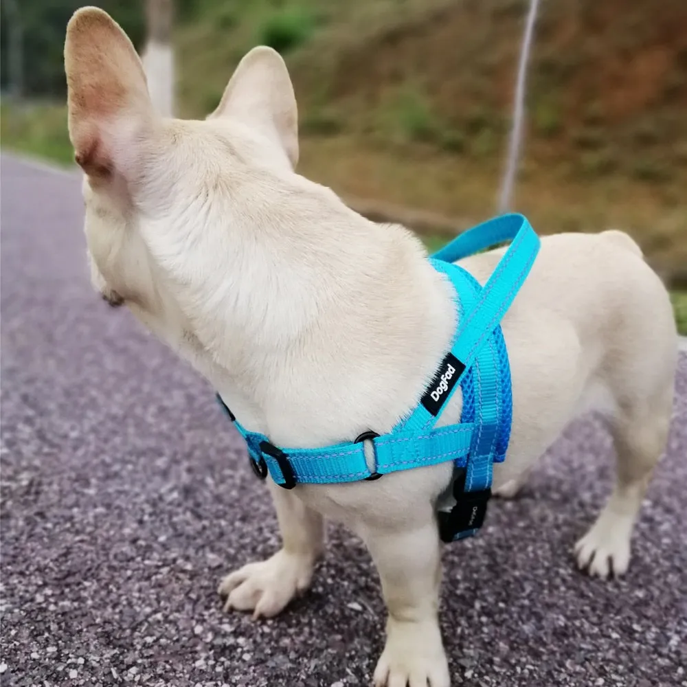 Dog Streamlined Adjustable Harness Sophisticated