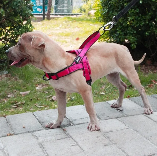 Dog Streamlined Adjustable Harness Sophisticated