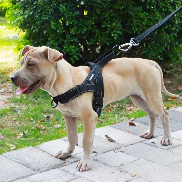 Dog Streamlined Adjustable Harness Sophisticated