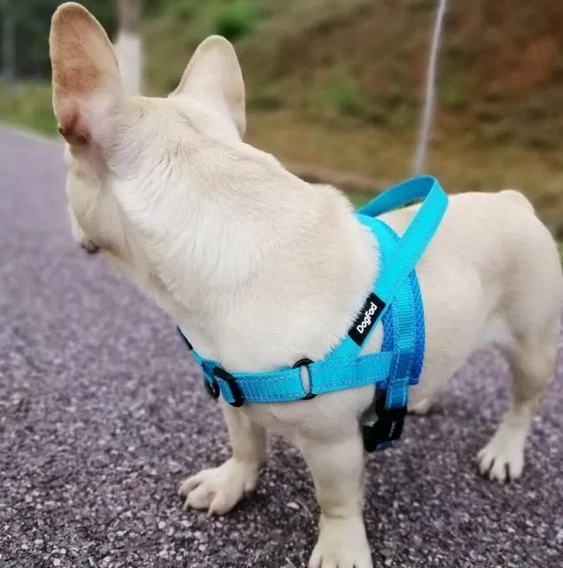 Dog Streamlined Adjustable Harness Sophisticated