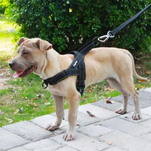 Dog Streamlined Adjustable Harness Sophisticated