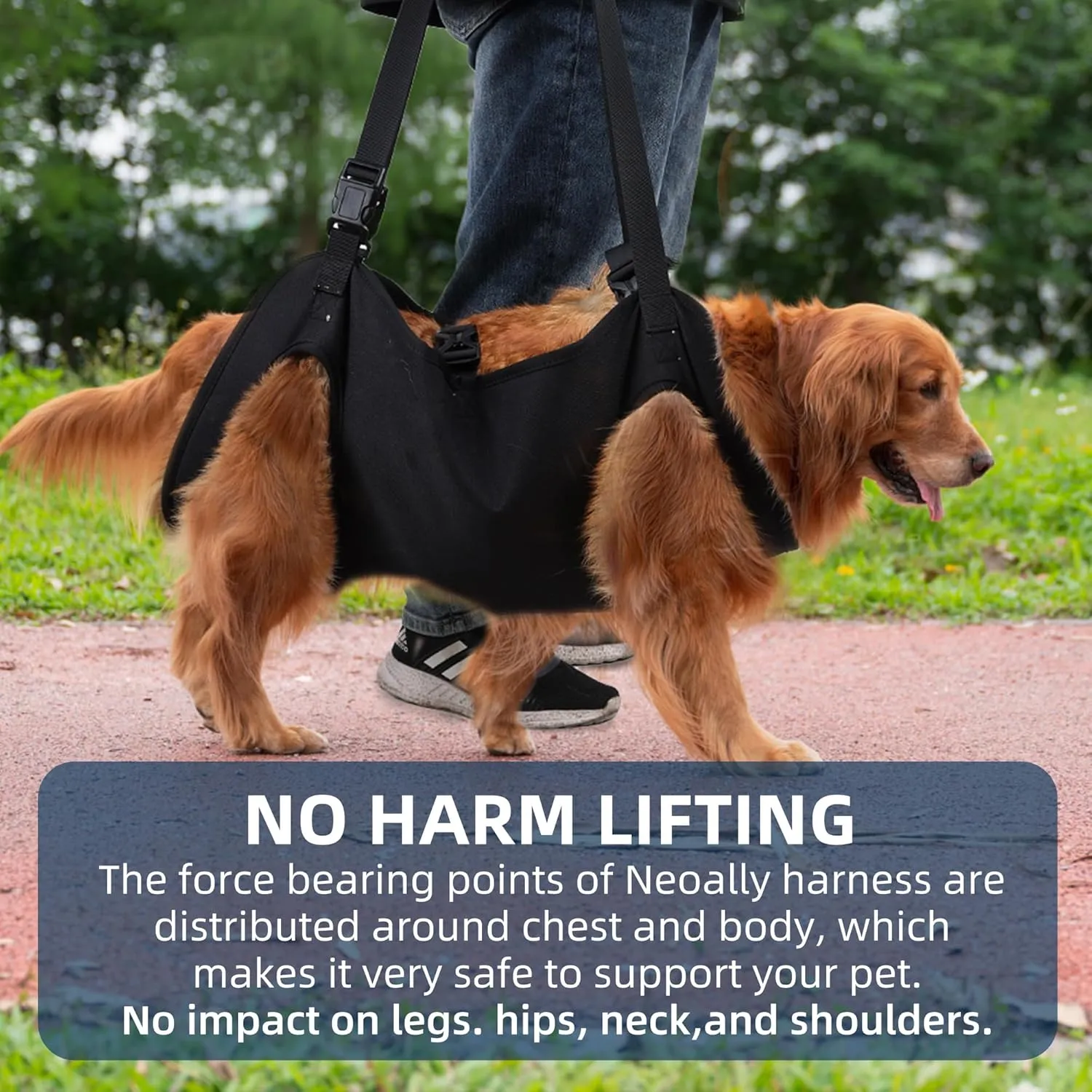 Dog Lift Harness,Full Body Dog Sling Carrier with Handle,Total Body Support for Dogs,Pet Dog Leg Support Sling Adjustable Retractable Breathable Lift Harness (L)