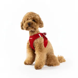 FORMFIT Mesh Harness | Red