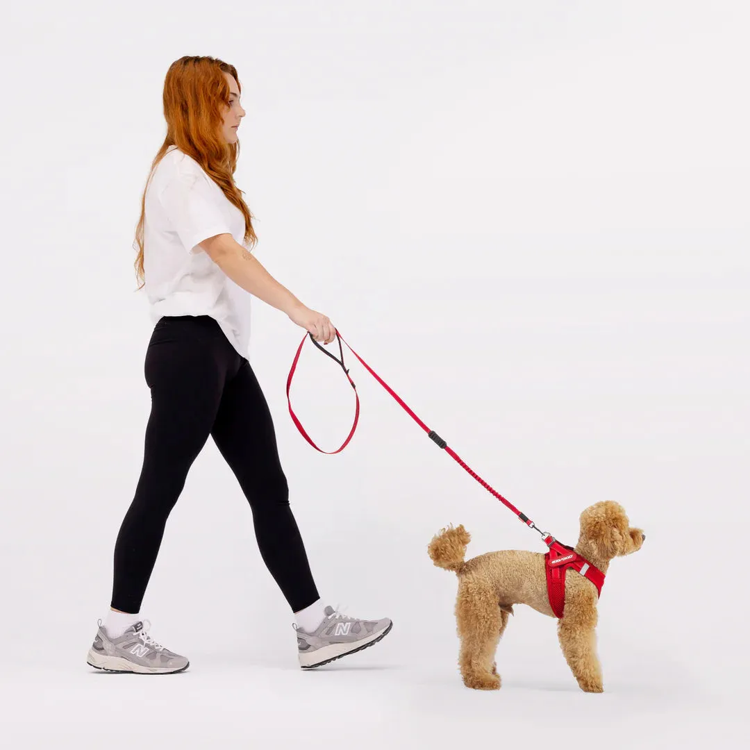 FORMFIT Mesh Harness | Red