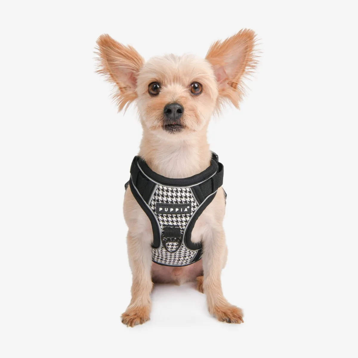 Front-Hook No-Pull Harness | Conall Houndstooth