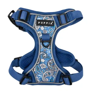 Front-Hook No-Pull Harness | Cynthia Paisley