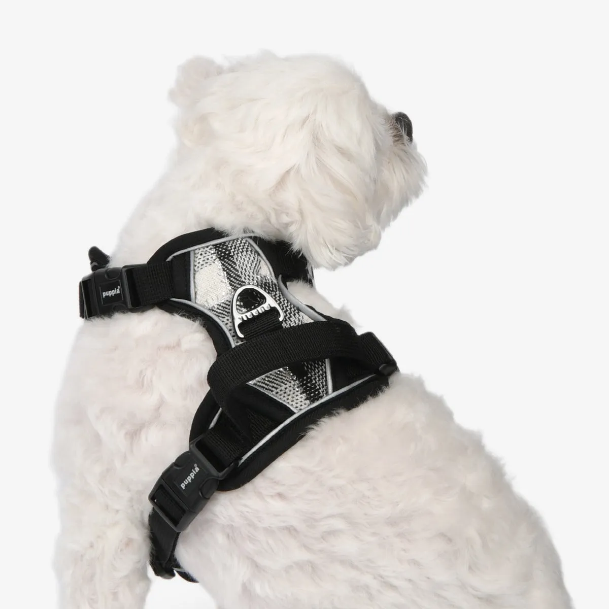 Front-Hook No-Pull Harness | Garrett Check Plaid