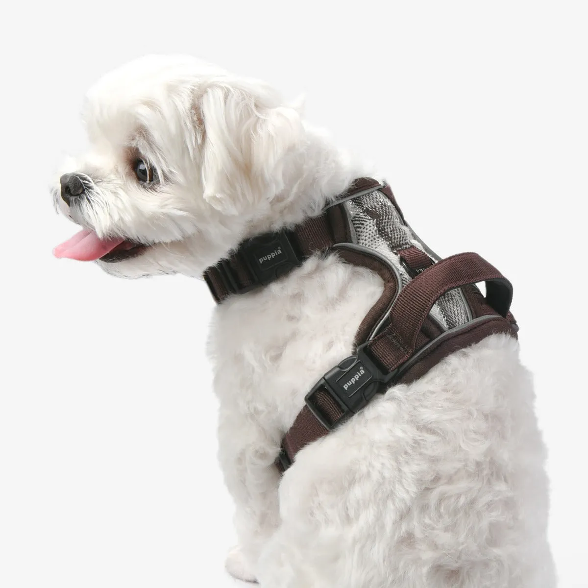 Front-Hook No-Pull Harness | Garrett Check Plaid