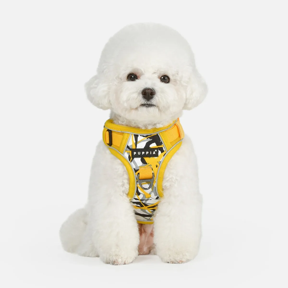 Front-Hook No-Pull Harness | Jackson
