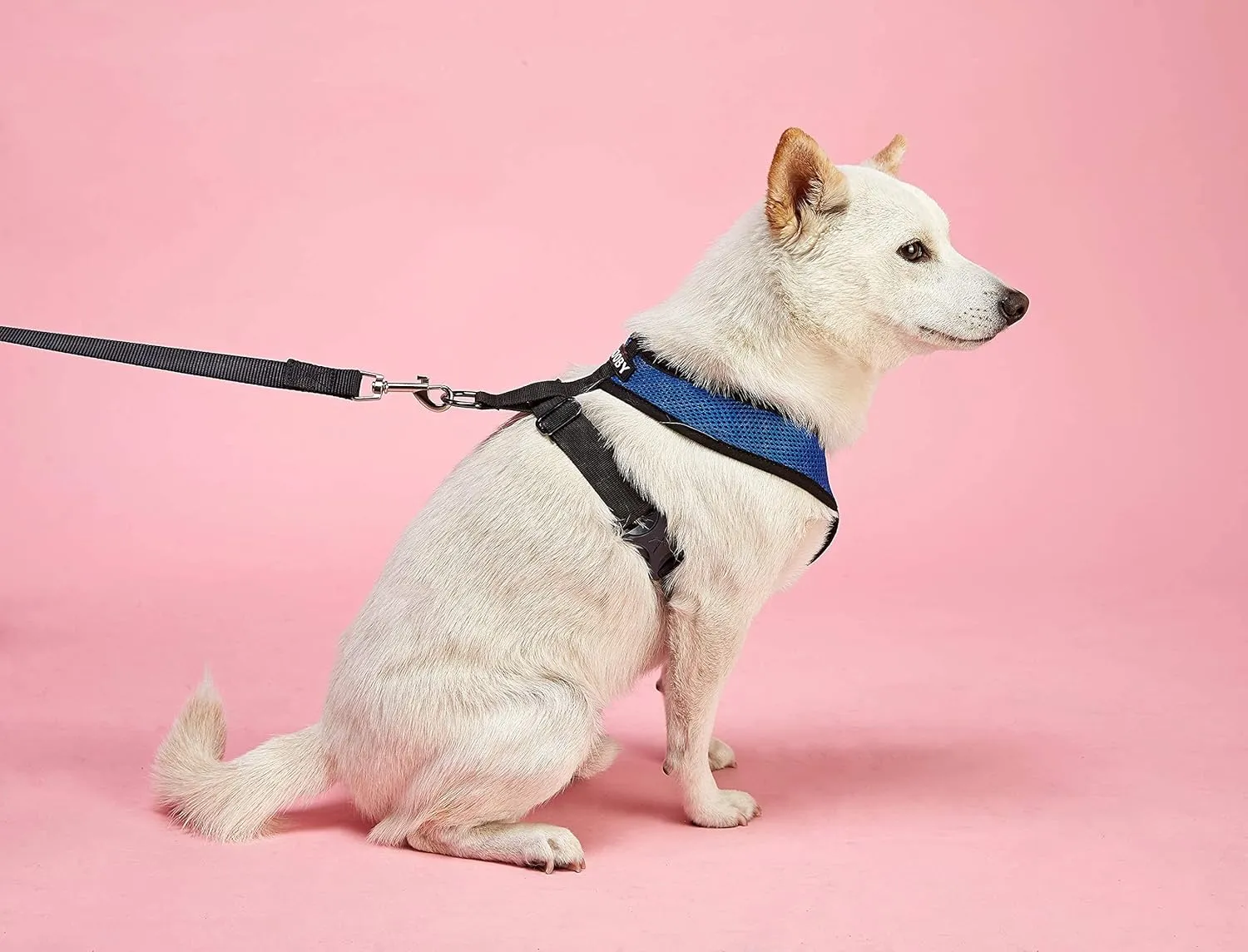 Gooby Comfort X Head-in Harness - S/M Black SM (11.5" Neck, 15.5" Chest, 10" Length)