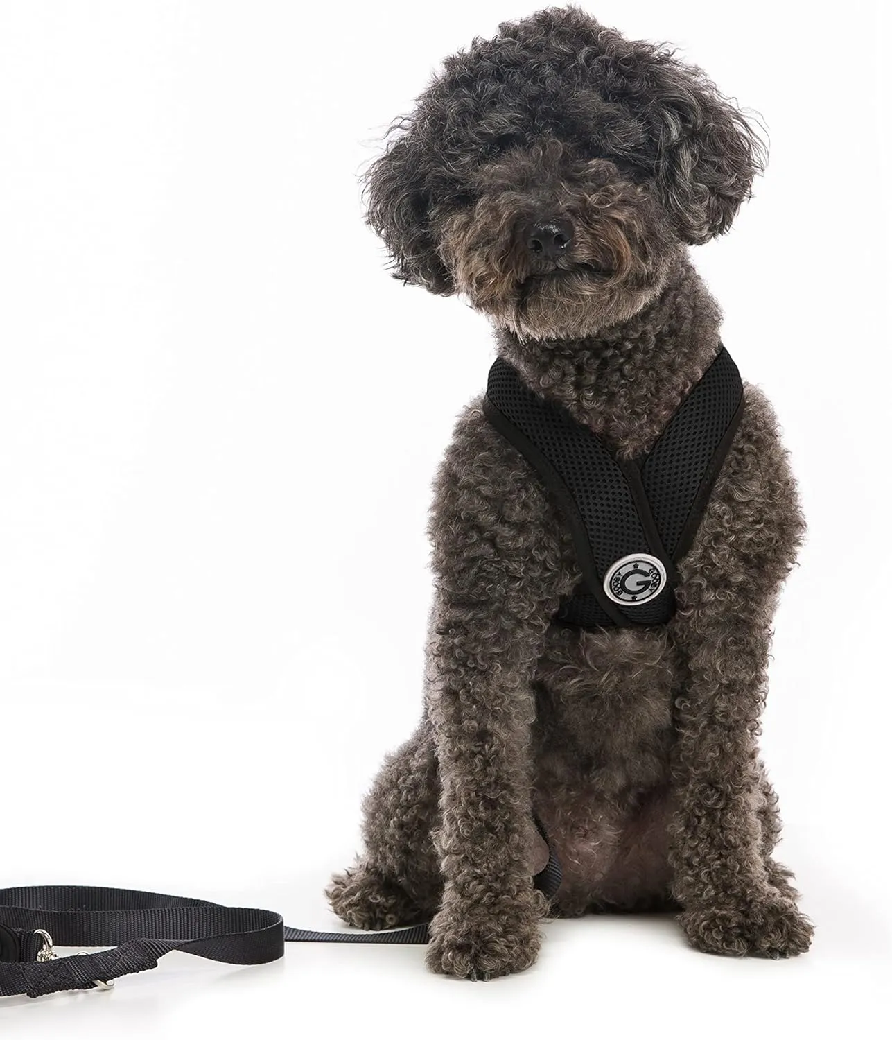 Gooby Comfort X Head-in Harness - S/M Black SM (11.5" Neck, 15.5" Chest, 10" Length)
