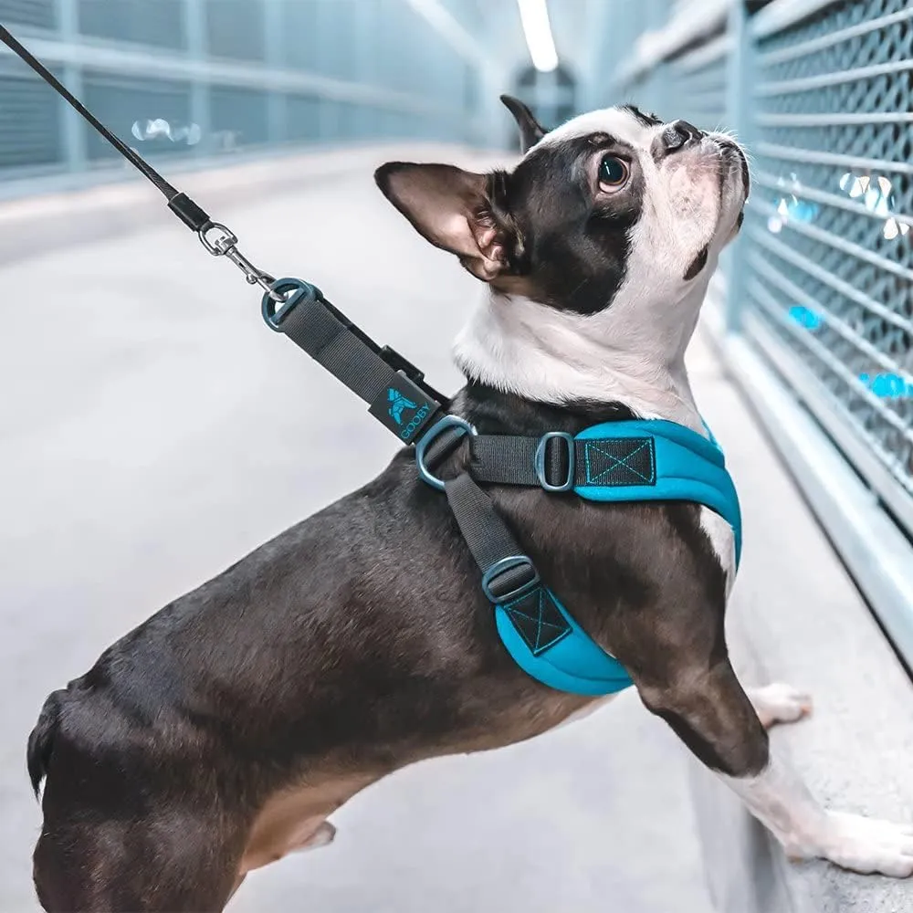 Gooby - Escape Free Sport Harness, Small Dog Step-In Neoprene Harness for Dogs that Like to Escape Their Harness, Turquoise, Small