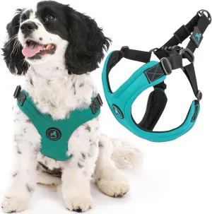 Gooby - Escape Free Sport Harness, Small Dog Step-In Neoprene Harness for Dogs that Like to Escape Their Harness, Turquoise, Small