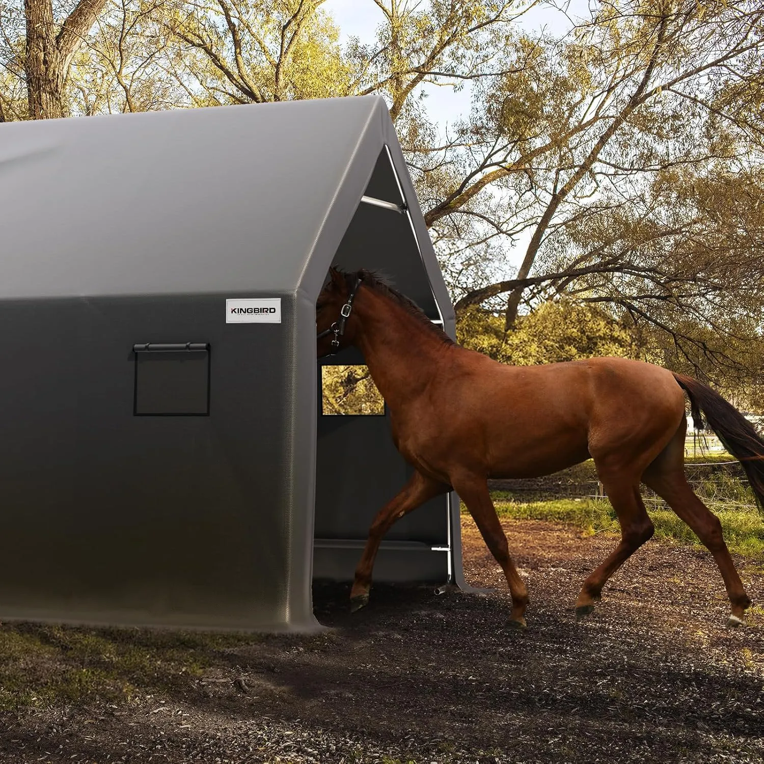 KING BIRD 10' x 15' x 10.8' Heavy Duty Anti-Snow Carport for SUV, Full-Size Truck and Boat, Outdoor Car Canopy Boat Shelter with Reinforced Ground Bars-Dark Gray