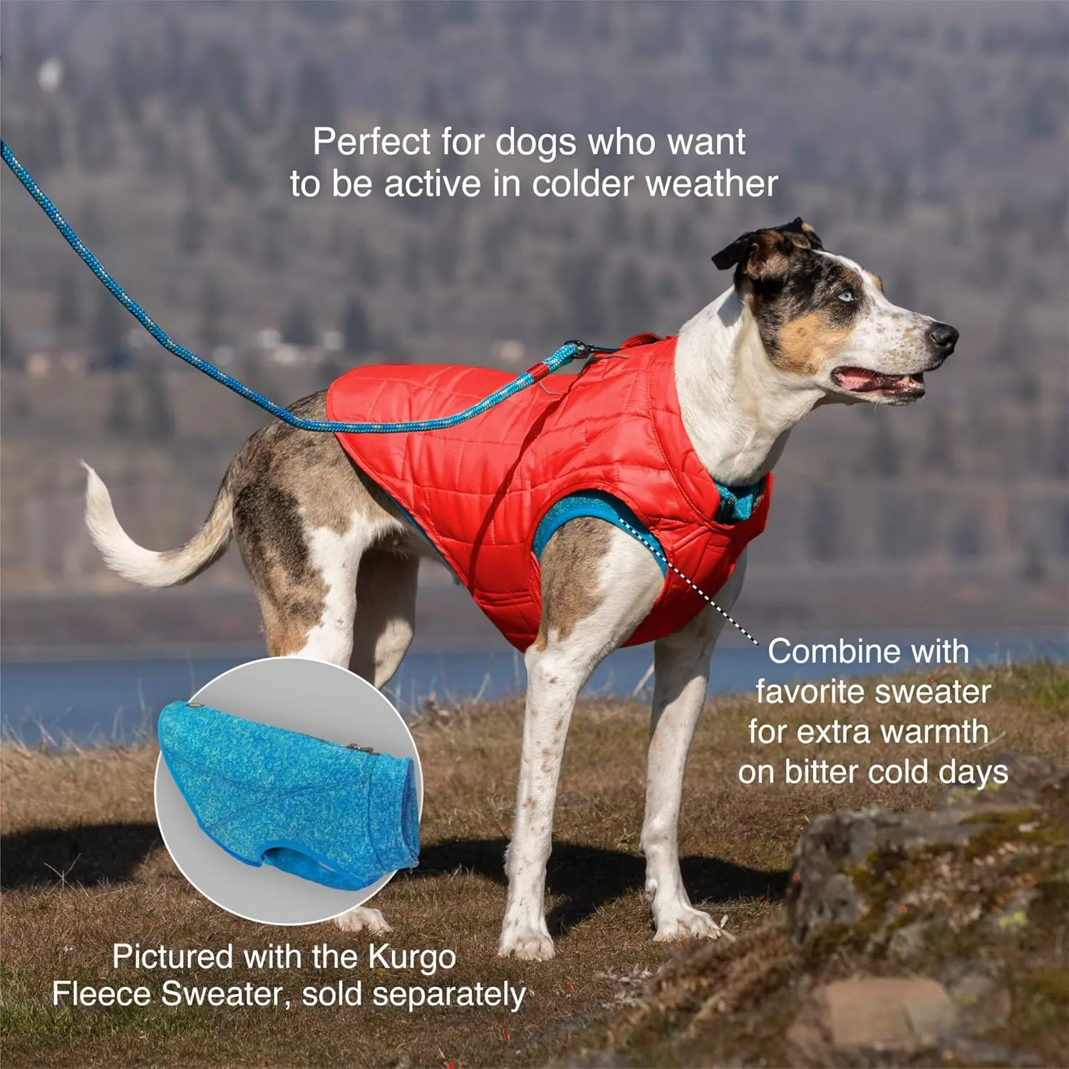 Kurgo Loft Dog Jacket, Reversible Dog Coat, Wear with Harness or Sweater, Water Resistant, Reflective, Winter Coat for Large Dogs (Coastal Blue, L)