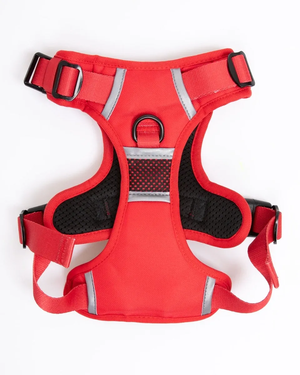 LFC Dog Harness