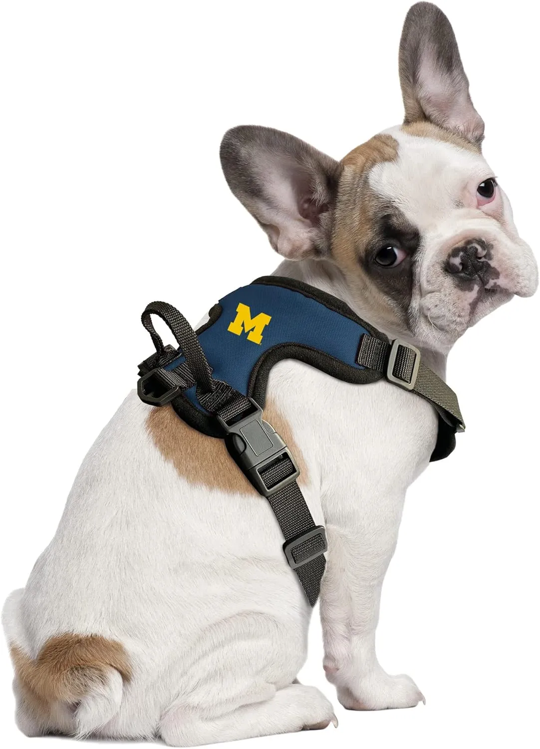 Littlearth NCAA Unisex-Adult Front Clip Pet Harness