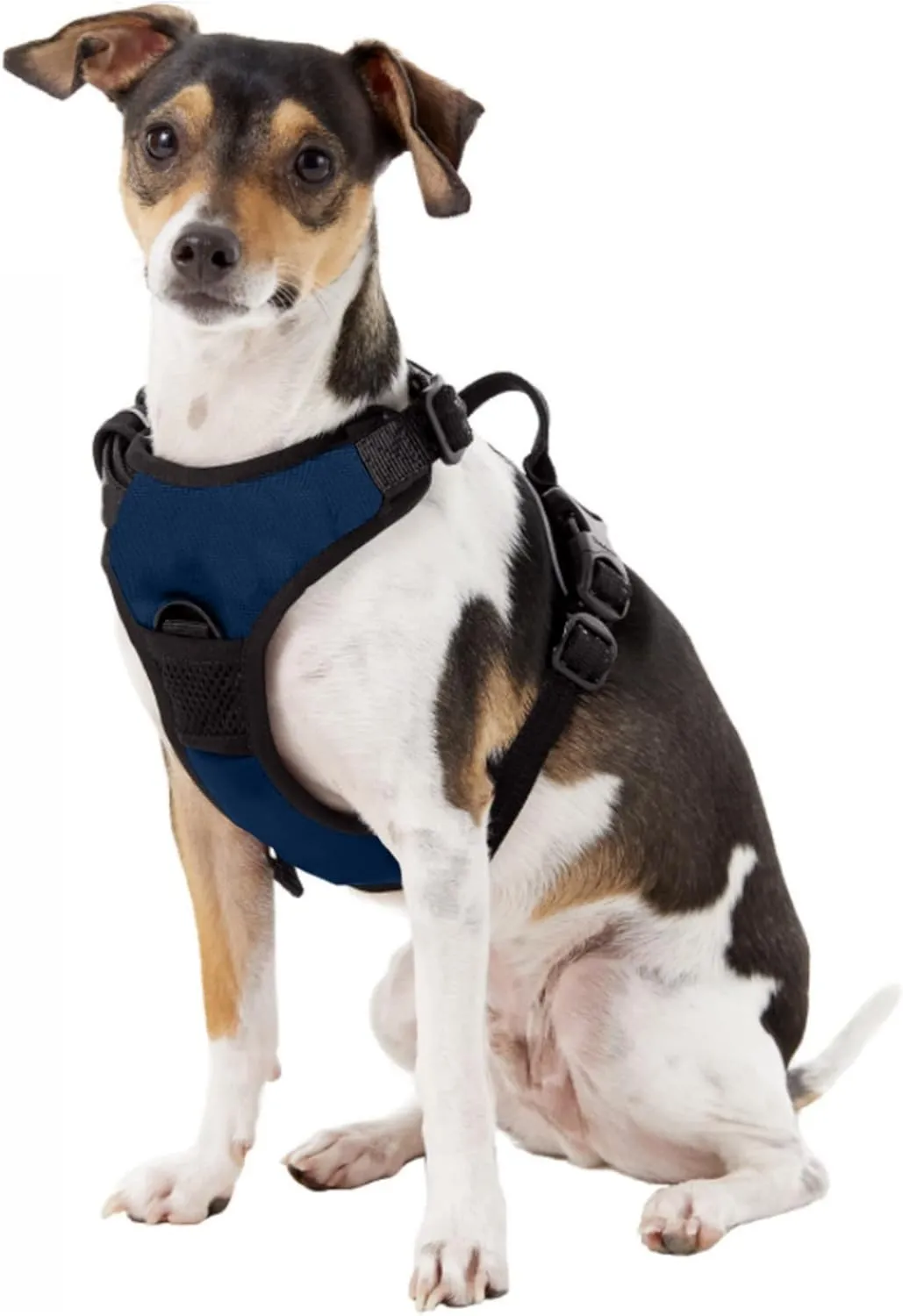 Littlearth NCAA Unisex-Adult Front Clip Pet Harness