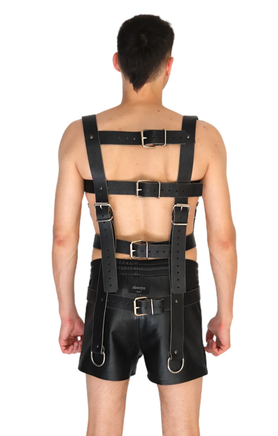 Lolla harness