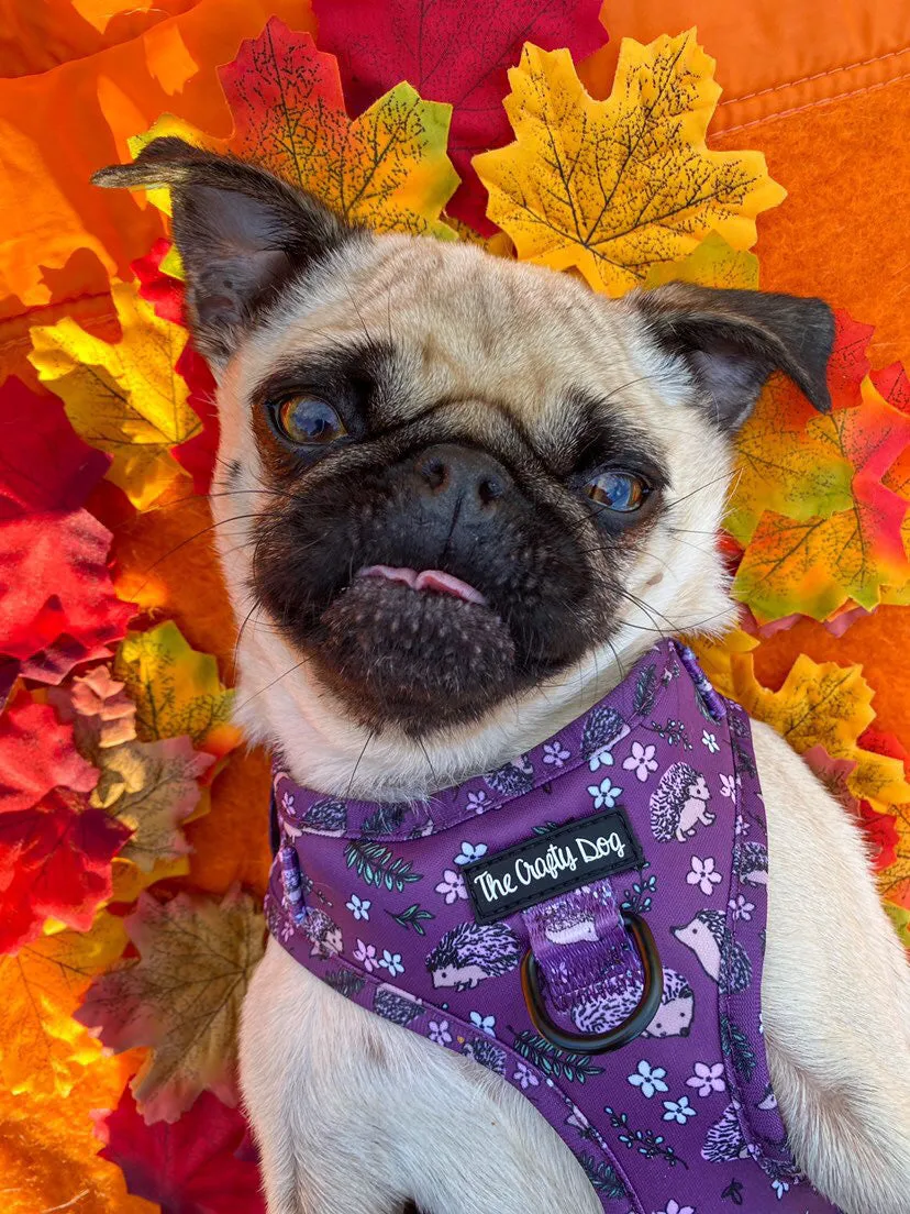 Looking Sharp Harness