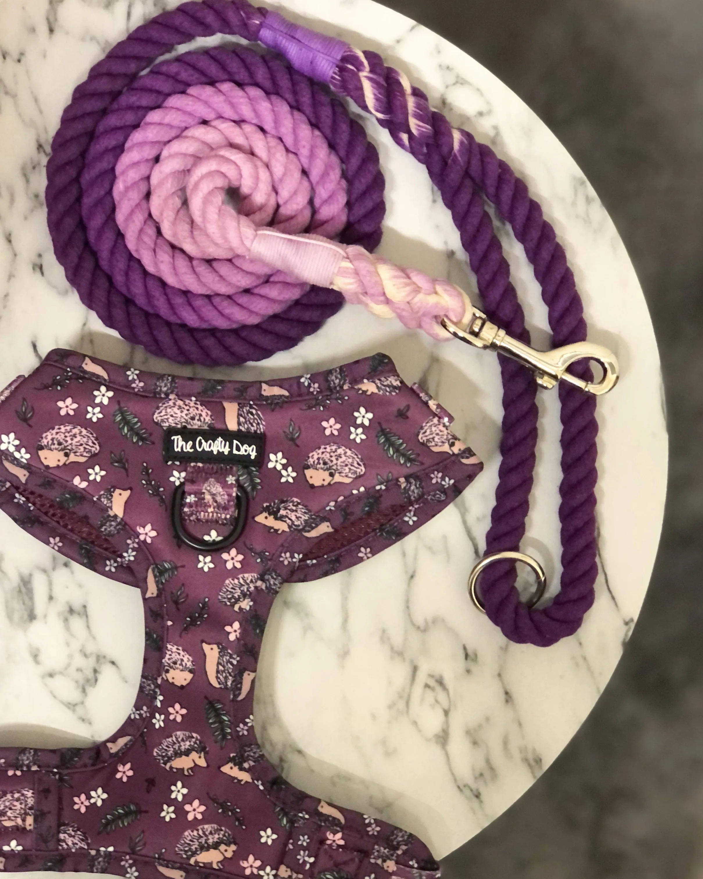 Looking Sharp Harness
