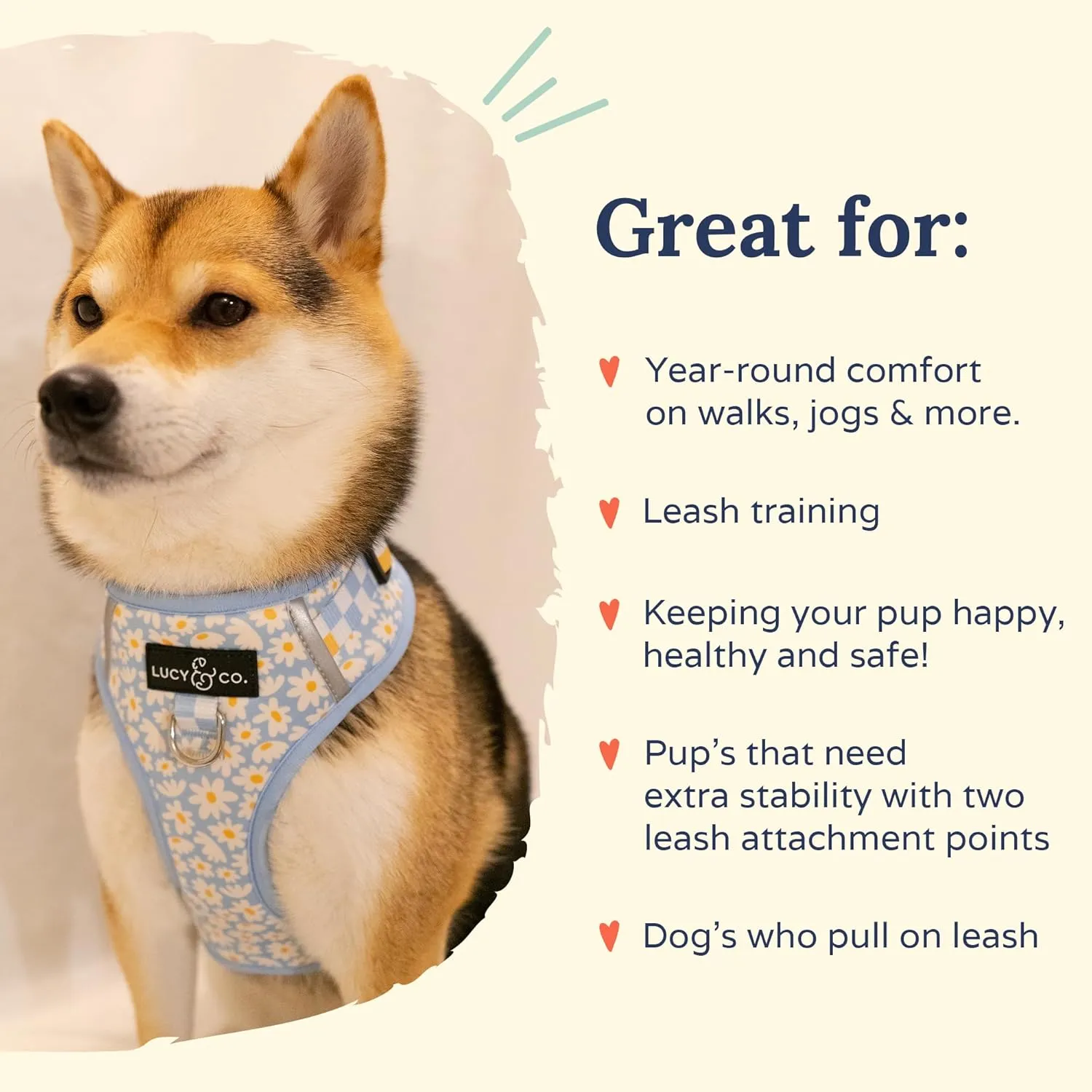 Lucy & Co. The Simply Splendid No-Pull Dog Harness – Size Large – Vest to Stop Pulling & Walk Easy – Comfortable Leash Training Product w/Adjustable Chest & Neck Straps