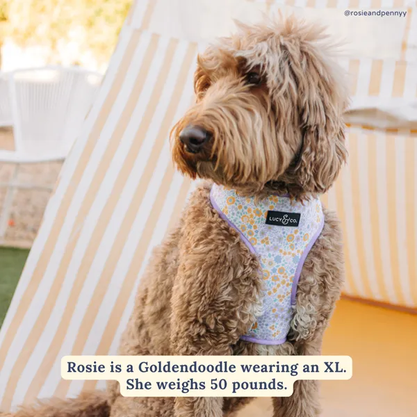 Lucy&Co Reversible Dog Harness: Among the Wildflowers