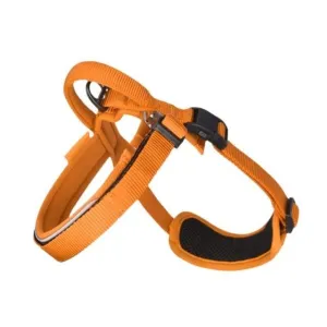 Night Reflective No Pull Dog Harness