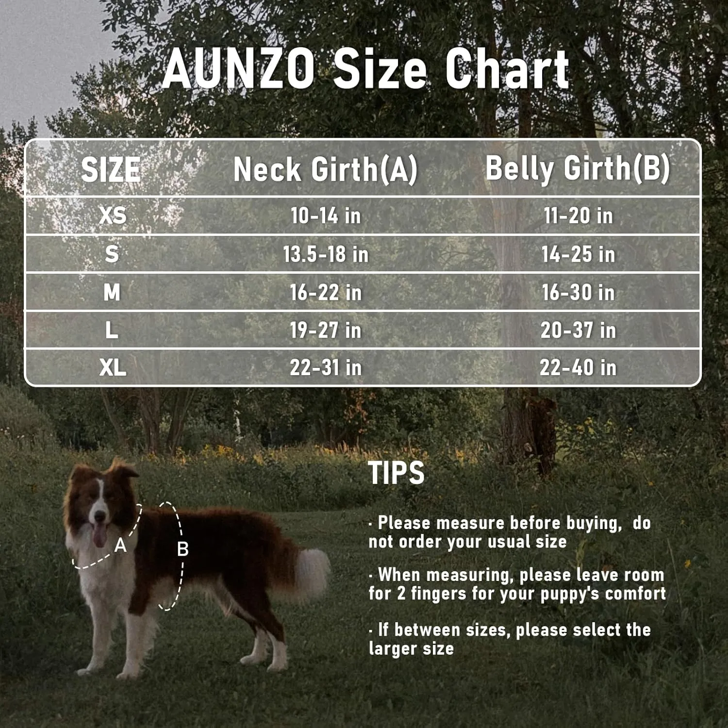 No Pull Dog Harness for Extra Large Dogs, Release on Neck, for Alaska Malamute, Bull Mastiff, Rottweiler, Great Dane etc, for Training, Casual Walks, Jogging, Easy Control Vest with Handle, Black XL