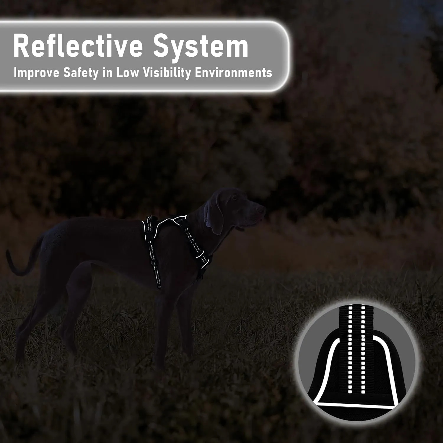 No Pull Dog Harness for Extra Large Dogs, Release on Neck, for Alaska Malamute, Bull Mastiff, Rottweiler, Great Dane etc, for Training Casual Walks Jogging, Easy Control Vest with Handle, Black, XL
