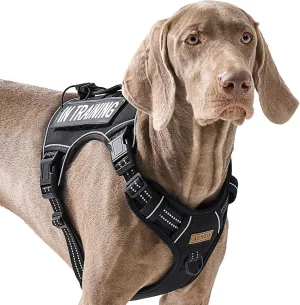 No Pull Dog Harness for Extra Large Dogs, Release on Neck, for Alaska Malamute, Bull Mastiff, Rottweiler, Great Dane etc, for Training, Casual Walks, Jogging, Easy Control Vest with Handle, Black XL