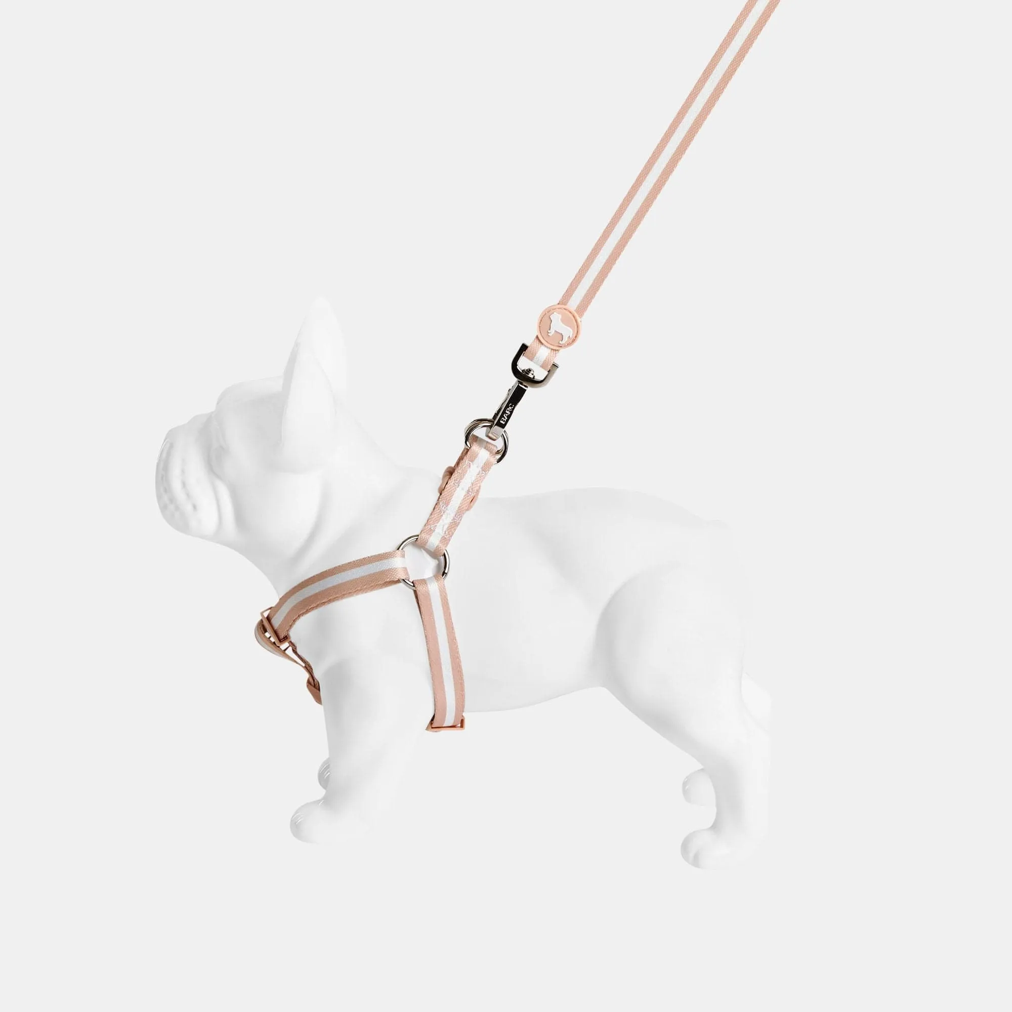 Nylon Fabric Dog Harness | Champagne Stripe