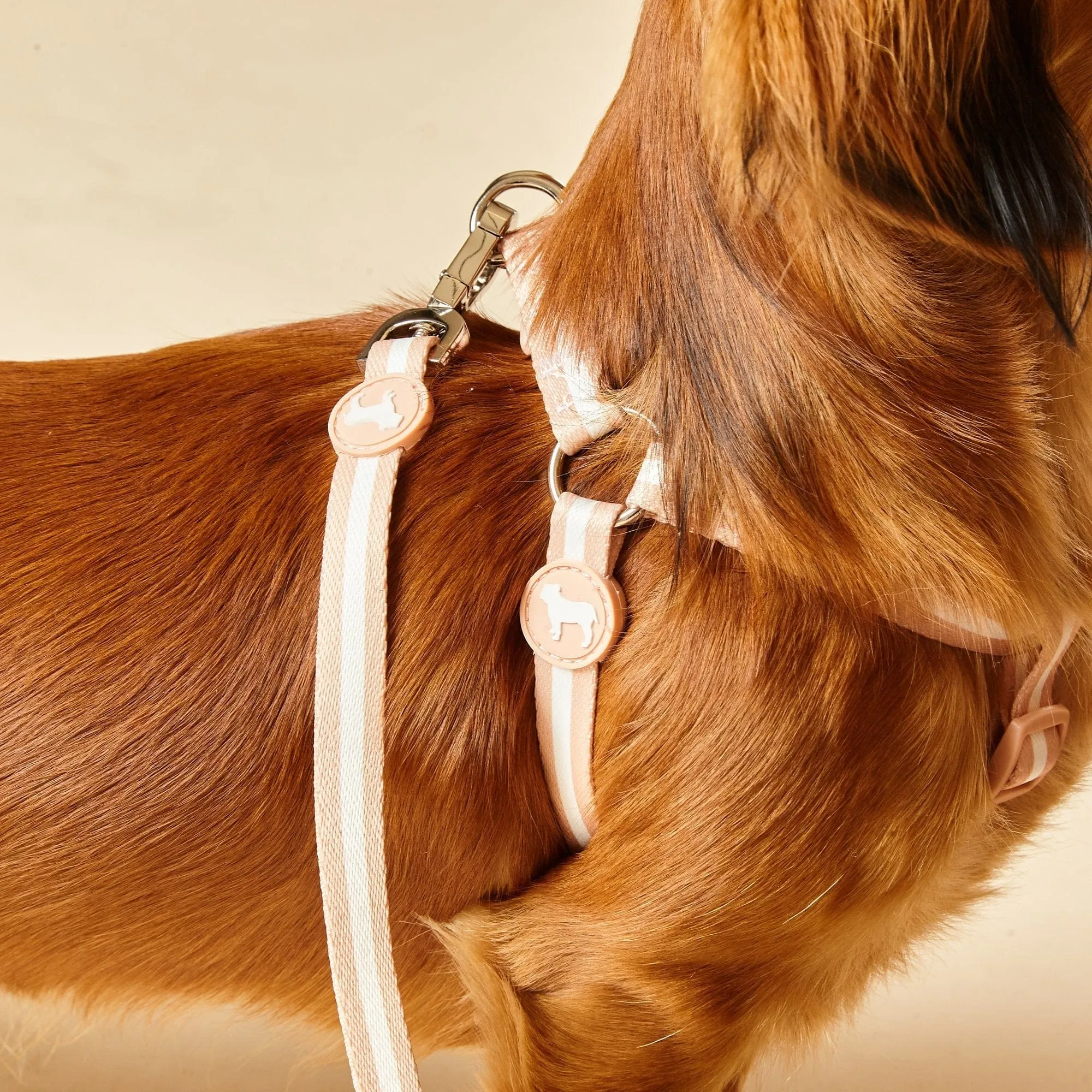 Nylon Fabric Dog Harness | Champagne Stripe