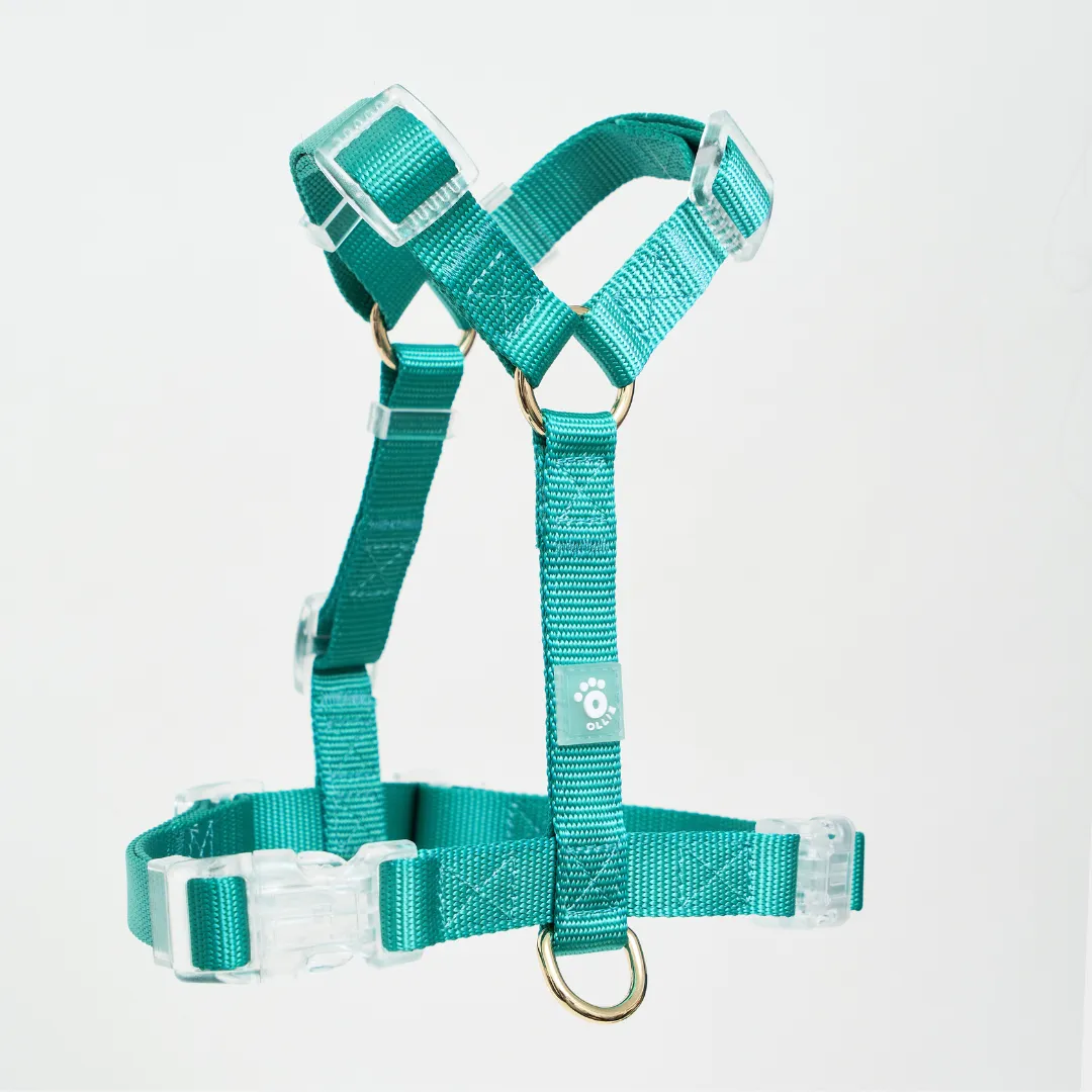 Ollie Walkies: Aero Paw - Emerald (Harness)
