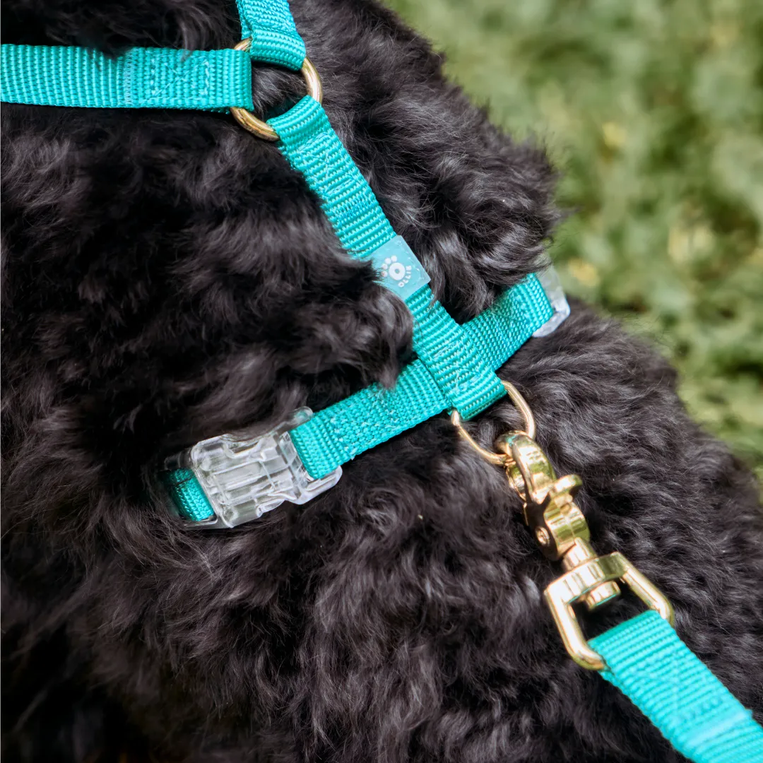 Ollie Walkies: Aero Paw - Emerald (Harness)