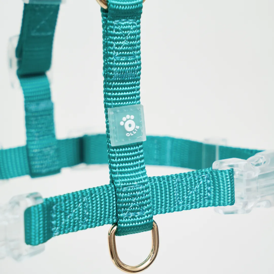 Ollie Walkies: Aero Paw - Emerald (Harness)