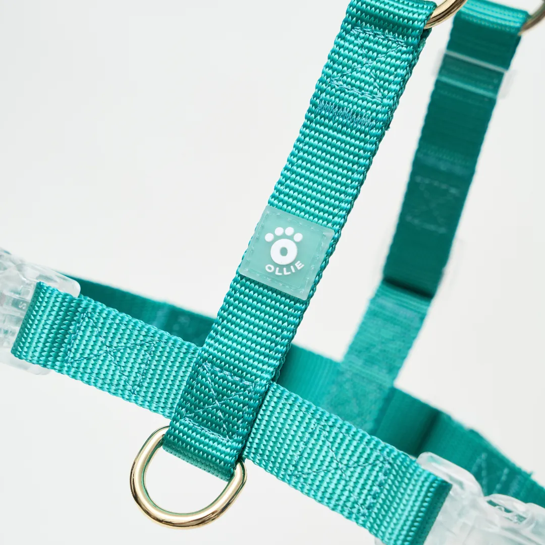 Ollie Walkies: Aero Paw - Emerald (Harness)