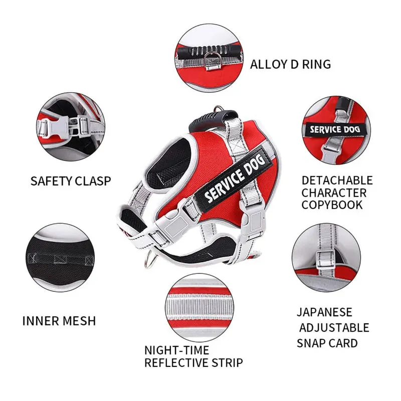 Padded Heavy Duty No Pull Dog Harness