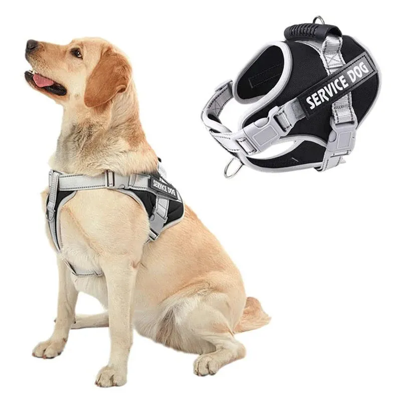 Padded Heavy Duty No Pull Dog Harness