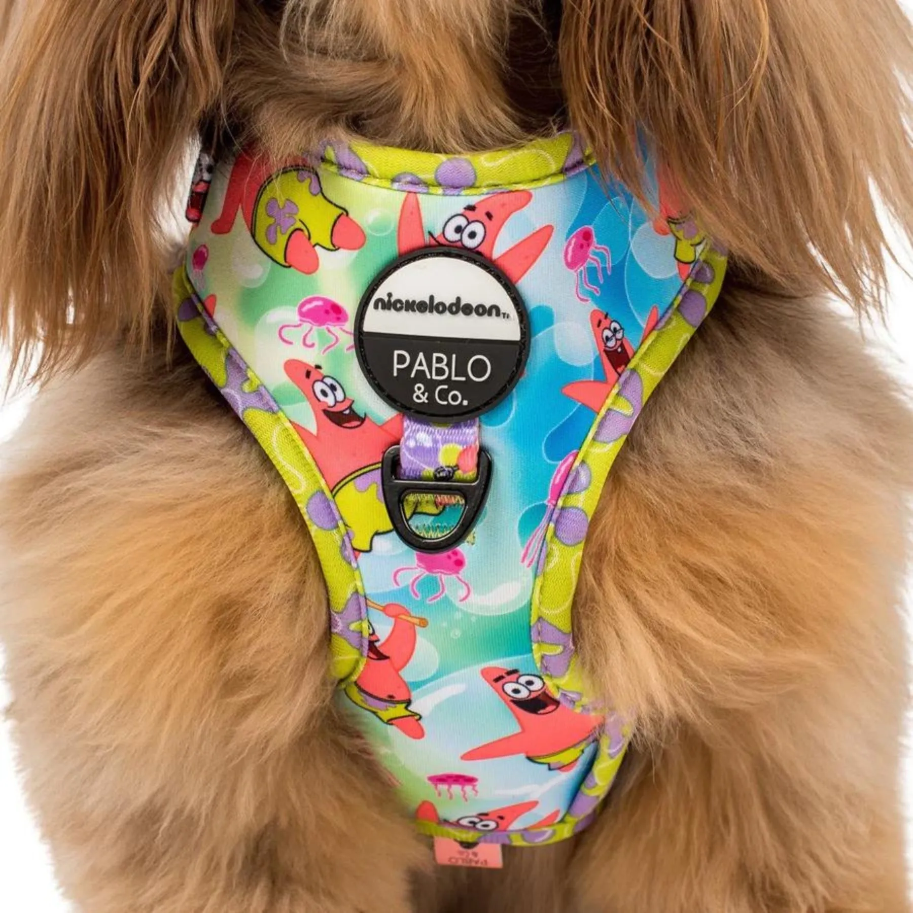Patrick Adjustable Harness