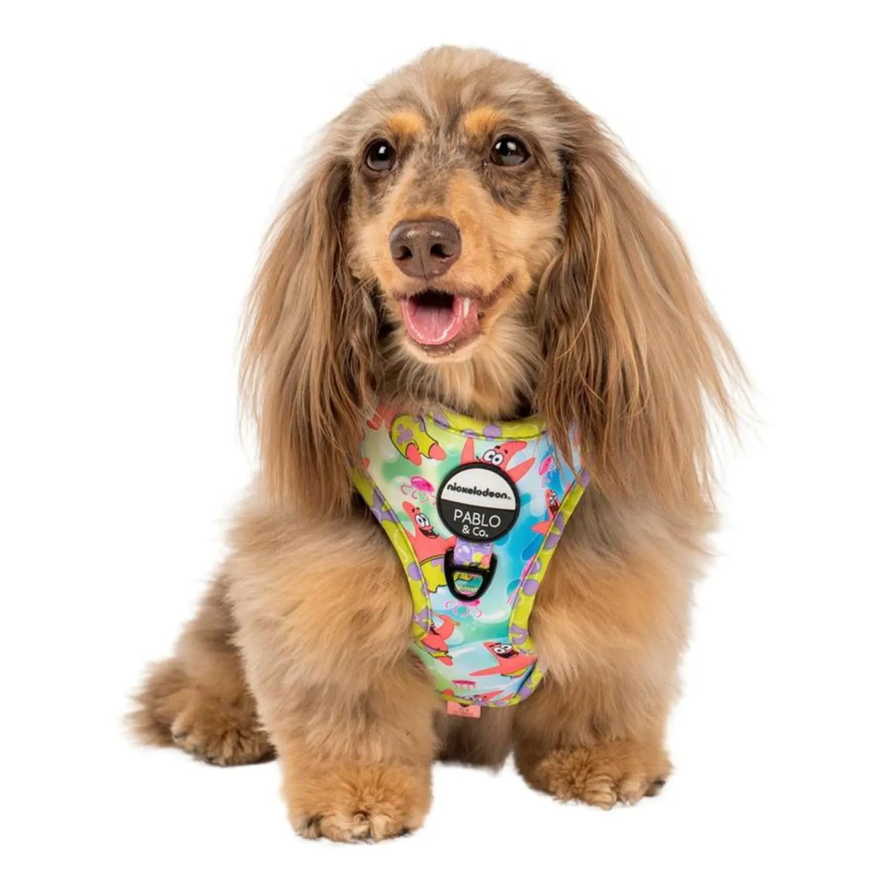Patrick Adjustable Harness