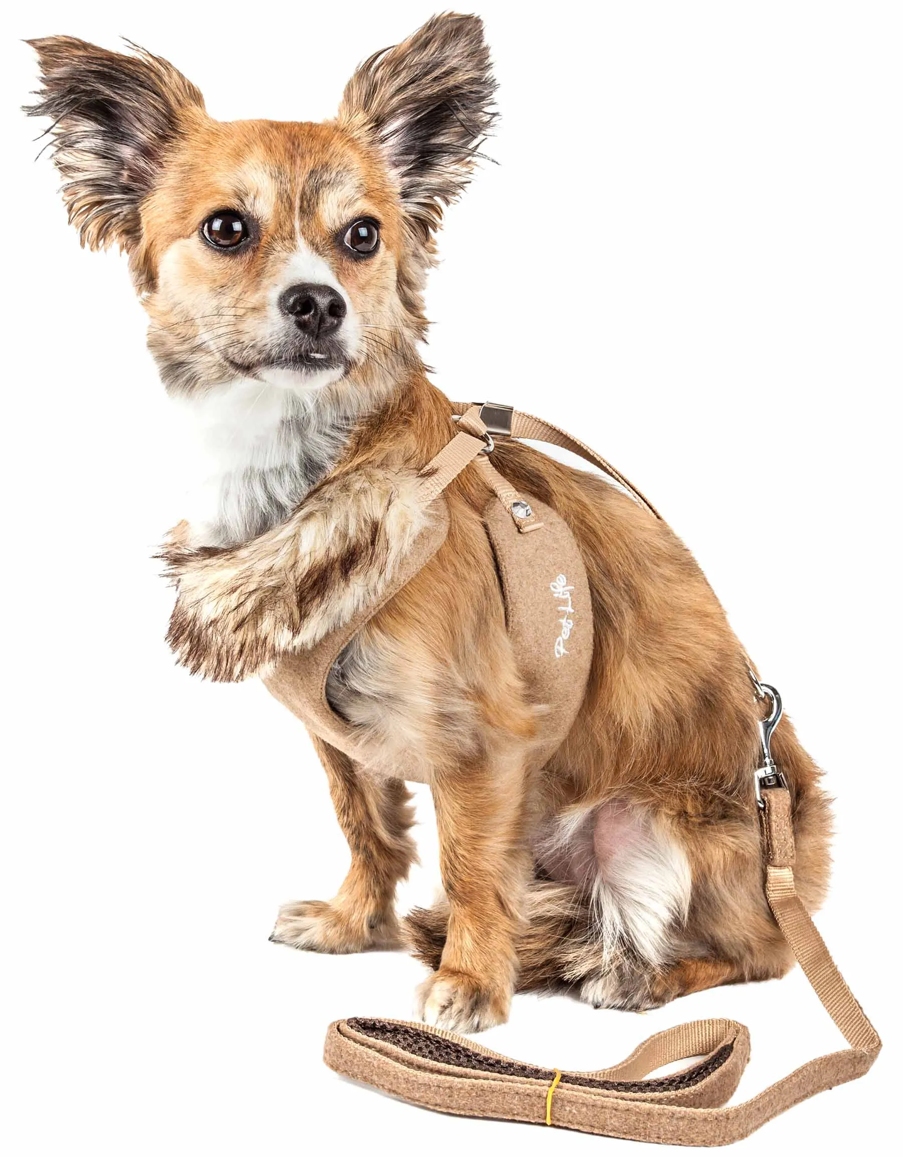 Pet Life ® Luxe 'Furracious' 2-In-1 Mesh Reversed Adjustable Dog Harness-Leash W/ Removable Fur Collar