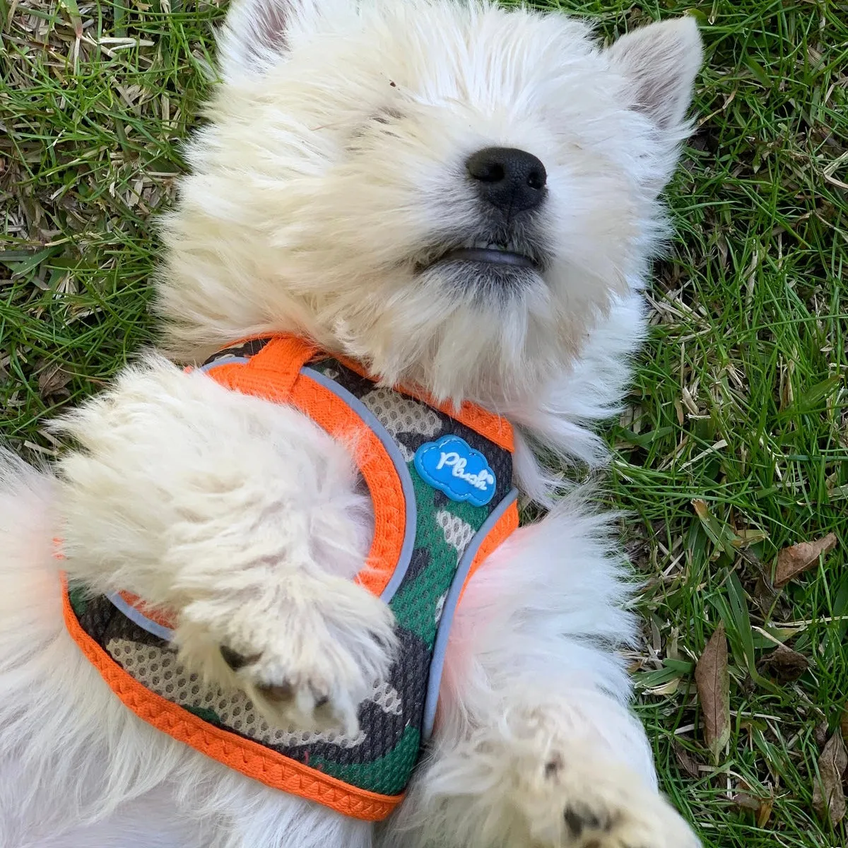 plush adjustable harness - orange camo