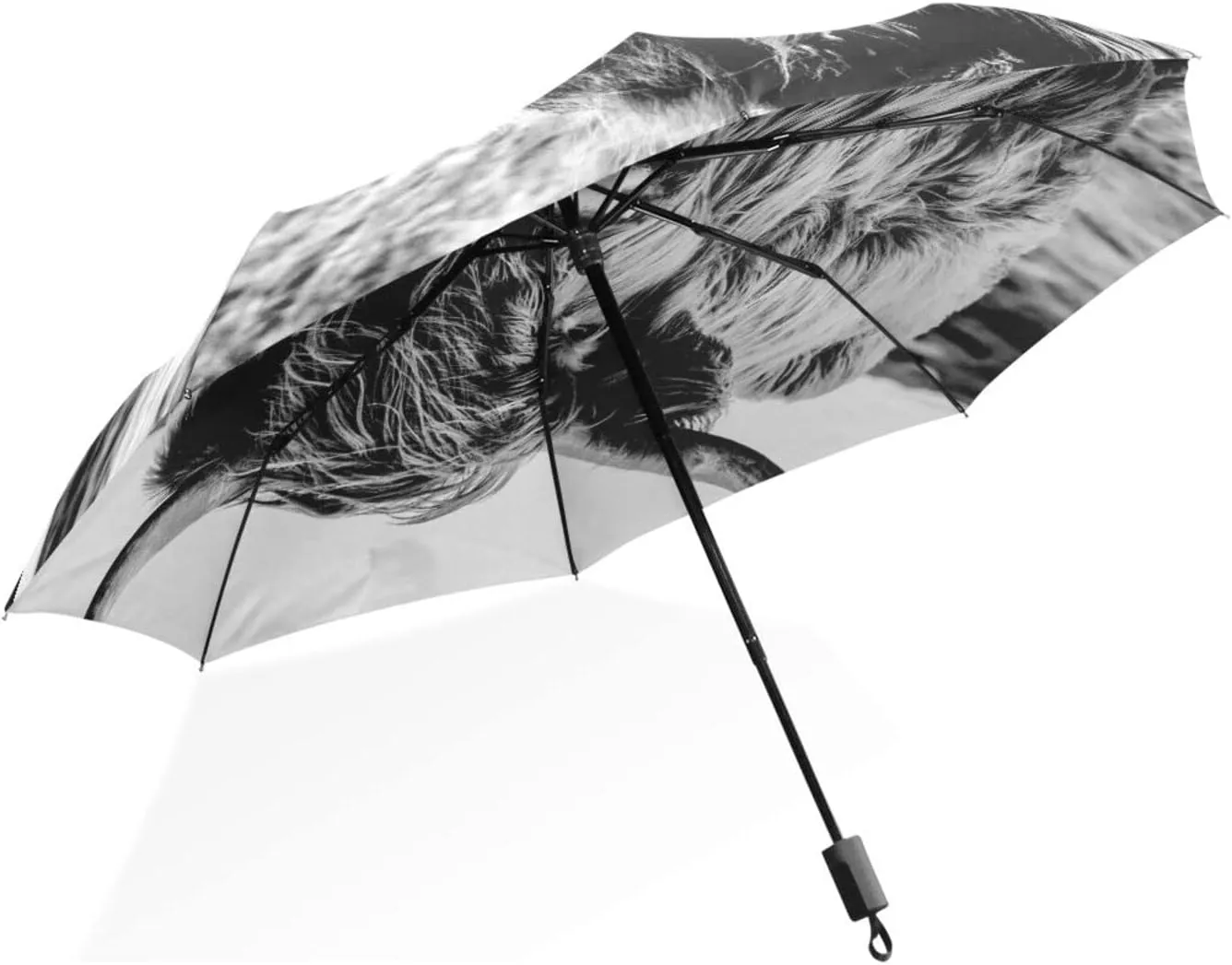 Poeticcity Rain Travel Umbrella, Hand Open Close Windproof Waterproof Folding Umbrella, Compact Canopy Strong Ray Parasol Umbrella